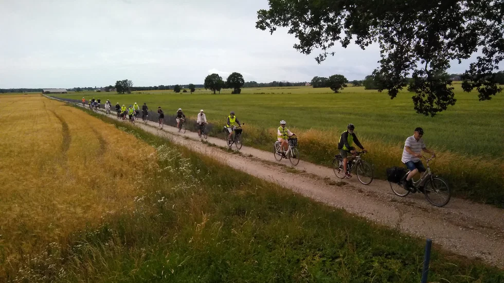 Cykelfrämjandet Gotland trampar hurtigt över den vida Follingboslätten.