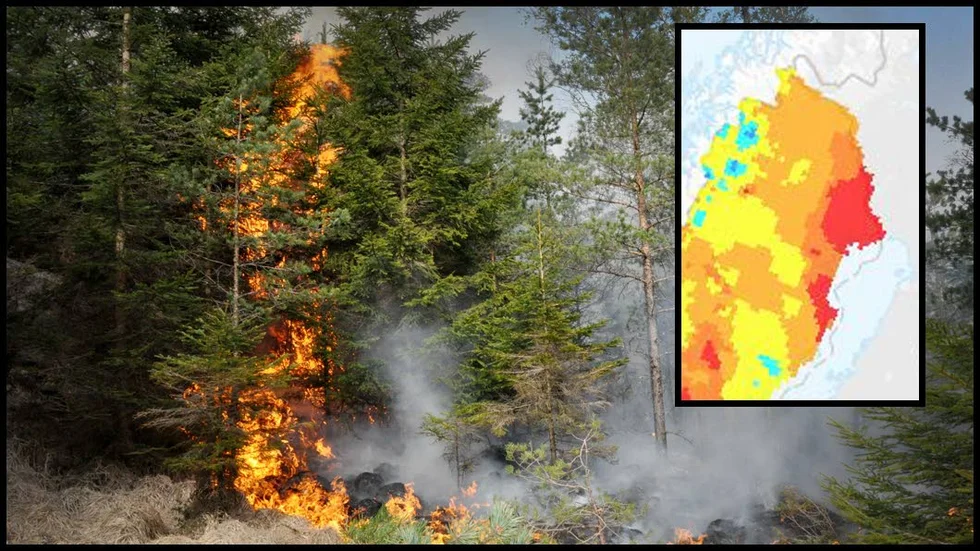 Brandrisken är hög i hela Norrbotten utom fjällen. Den lilla kartan visar risken på måndag. Ju rödare på kartan desto större risk.