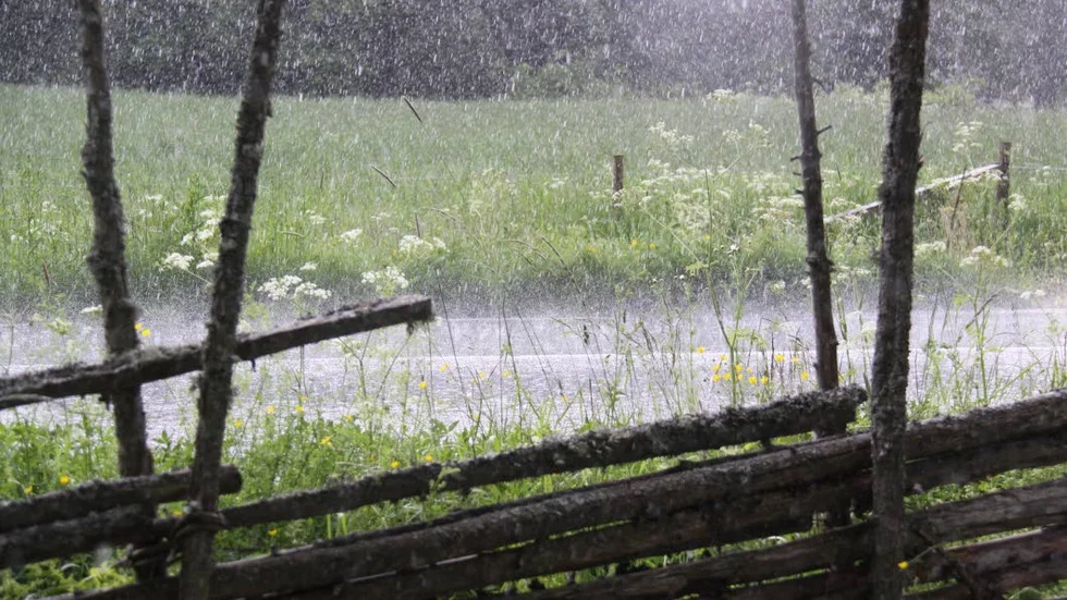 Regnet är en del av en svensk sommar.
