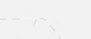 Skog i Piteå kommun har bytt ägare