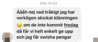 Polisen utreder utpekade nätbedragerskan