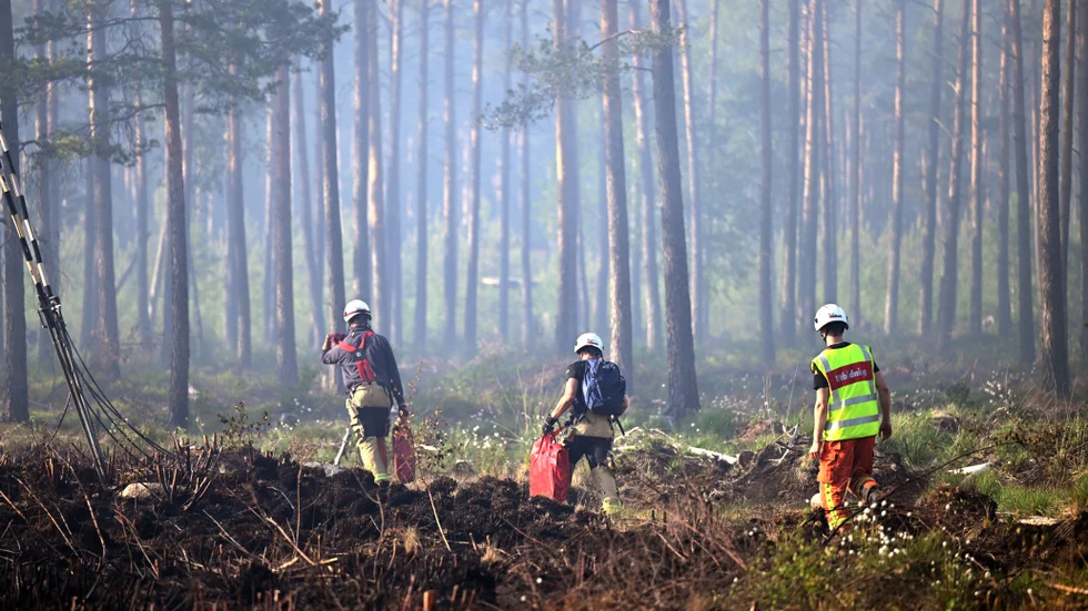 Brandrisken är stor just nu. På Nationaldagen rasade en skogsbrand fem kilometer söder om Alvesta. Arkivbild.