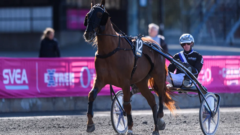 Ekipaget Rackham - Christoffer Eriksson kommer inte till start i miljonloppet Norrbottens Stora Pris, lördag kväll.