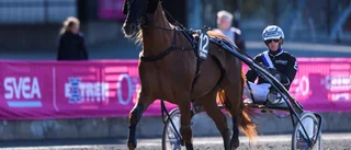 Tio blir nio i miljonloppet i Boden