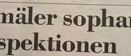 Ur PT:s arkiv: Möglet ger renhållningsarbetarna problem