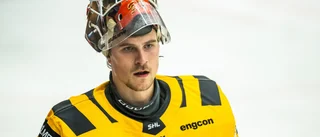 Kan få göra debut i hockeyallsvenskan – efter gratischansen