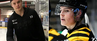 Piteå Hockey plockar in SHL-meriterat lån