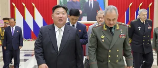 Uppgifter: Ukraina avlossar nordkoreanska vapen