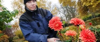Varm höst kyler av vinterhandeln