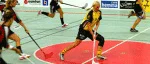 Revanschen