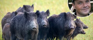 Vilthägnsfrågan inte avgjord – Hvalfisken går till regeringen