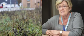 Byggde inte huset på utsatt tid – slipper betala vite