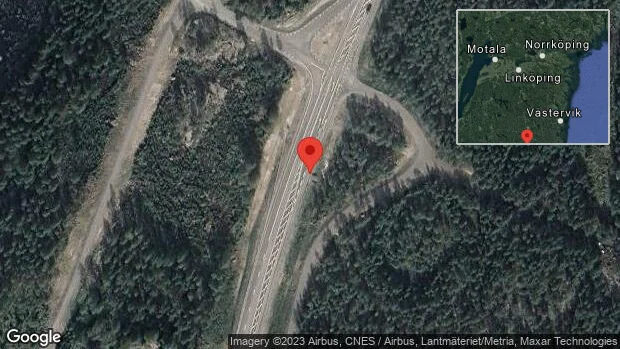 Rådjur innanför viltstängslet