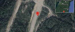 Rådjur innanför viltstängslet