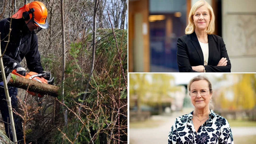 Upp till 80 procent av anställda inom viktiga yrkesgrupper hos de gröna näringarna har en kollektivavtalad lön som ligger under nya lägstanivån för utländsk arbetskraft. Det här ställer till stora problem för företagen skriver Lena-Liisa Tengblad och Annika Bergman, Gröna arbetsgivare.