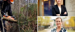 Vi vill anställa de vi behöver