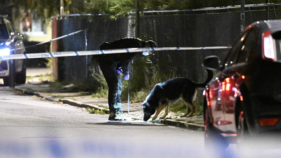 Polis, kriminaltekniker och specialsökhund på plats vid flerfamiljshuset som utsattes för en skottlossning natten mot söndag.