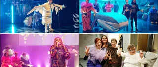 Havets kamp i välbesökt musikal
