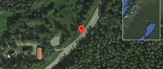 Varning för hästar på vägen på väg 588