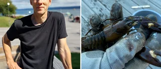 Så är läget för kräftorna i Vättern: "En problematik som vi ser"