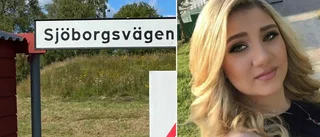 Diana, 37, drabbad av stöldvåg: "Börjar bli otryggt här"