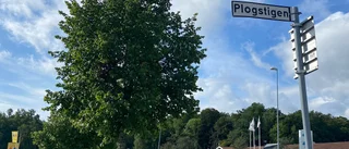 Vittne avbröt pågående stöld