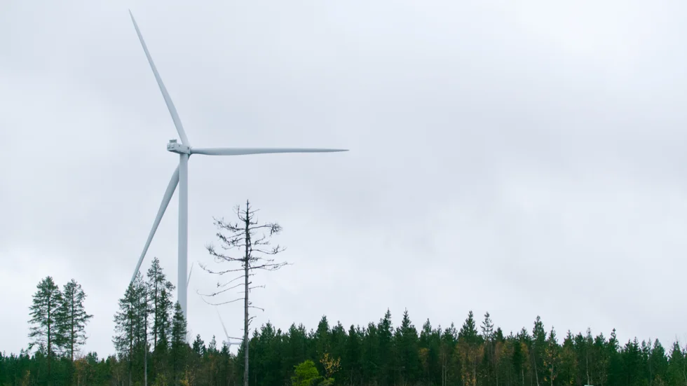"Vi tycker, till skillnad från en del proffstyckare, att det har blivit riktigt bra. Det som förvånar är skillnaden mellan ersättningar för byarna", skriver insändarskribenterna. (Arkivbild)