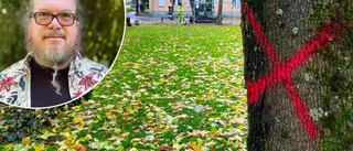 Trädstrid seglar upp – han sågar planerna
