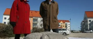 Trilobiten en lättnad för Gotlandshem