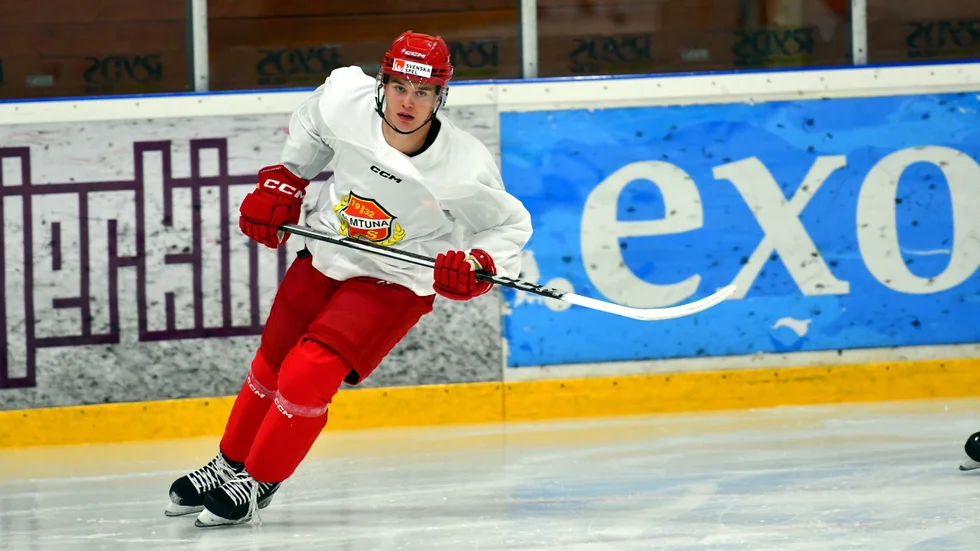 Almtunas Valdemar Johansson skulle hellre förlora i semifinal mot Brynäs i fyra raka matcher än att vinna hockeyallsvenskans poängliga.