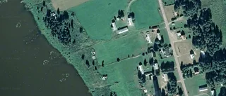 Ny ägare till skog i Övertorneå i september