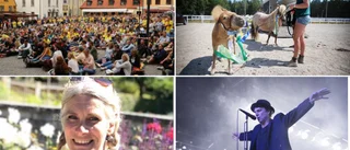 Minns du vad som hände i veckan – fast för fem år sedan?