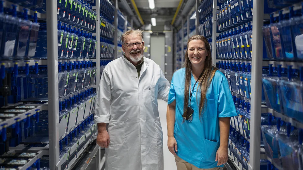 Joakim Holmdahl, chef för Uppsala universitets djurförsöksanläggningar, och Tiffany Klingström som arbetar i labbet, beskriver en utveckling i rasande takt när det gäller vad studier på zebrafisk kan användas till.
