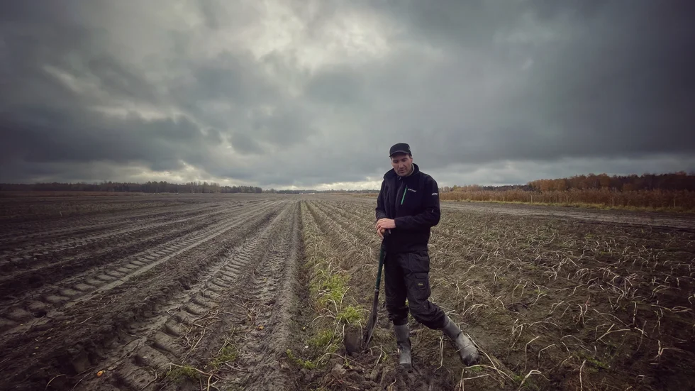 Micke Johansson är tredje generationens bonde i familjeföretaget Upplands potatis, som är ett av de största potatispackerierna i Uppsala län. 