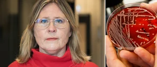 LARMET: Invasiva bakterien ökar i Västerbotten – högst på 20 år
