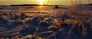 Läsarbild: solnedgång i Haparanda