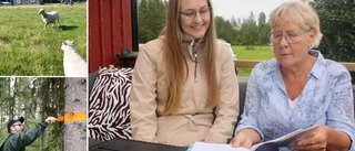 Så många jobb och företag skapades genom Leaderprojekt