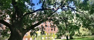 "Min formgjutna sarkofag väntar" 