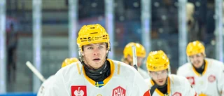 AIK tog revansch – stod för en topprestation mot CHL-mästarna