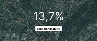 Så gick det för Lena Hansson AB 2022