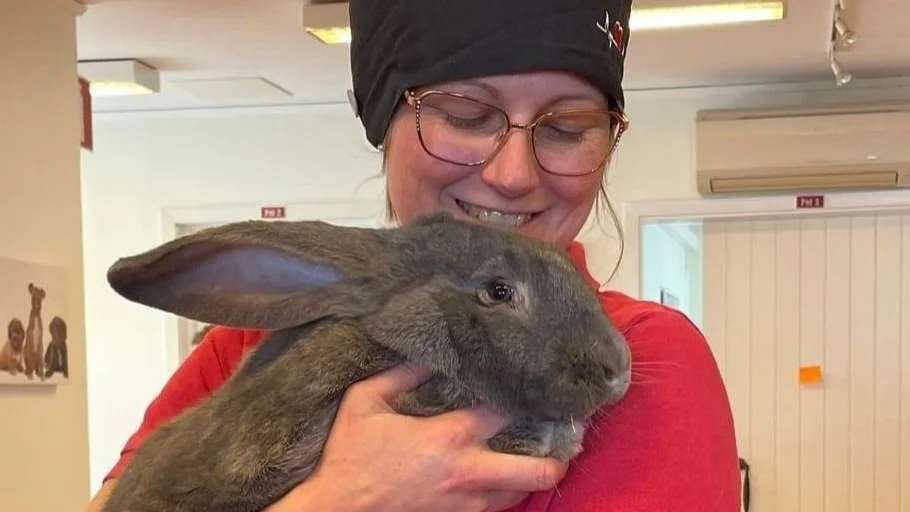 Veterinären Jenny Garland blev bestört när hon hörde att alla djurkliniker i Uppsala var stängda under julhelgen. 