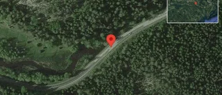 Nedfallna träd påverkar trafiken på väg 910
