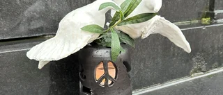 Min skulptur försvann snabbt från Stora torget