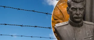 "Ett lidande omöjligt att greppa"