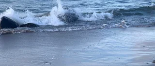 Nyårskrönika om stranden och löften
