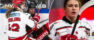 Varningen till Luleå: "Vi ska ta på oss guldhjälmarna"