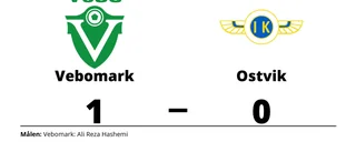 Ali Reza Hashemi matchhjälte för Vebomark mot Ostvik
