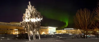 Varför har Umeå lyckats?