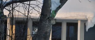 Dagens väderbild