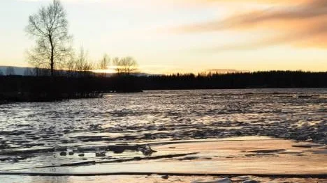 Ser ut som en vårbild men fotat i december vid Piteälven